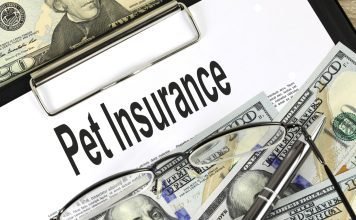 Pet Insurance: Your Guide to Avoiding Pet Healthcare Scams Pet Insurance
