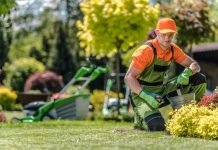 Factors of Considering When Choosing a Landscape Company Landscape Company