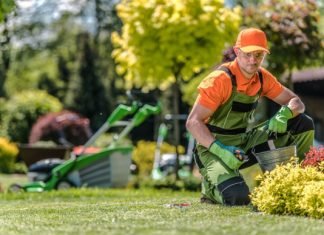 Factors of Considering When Choosing a Landscape Company Landscape Company