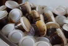 Ice Cream Containers with Lids: Keeping Frozen Treats Fresh and Delicious Ice Cream Containers with Lids