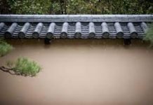 Wall Coping: Is It the Right Choice for Your Building Project? Wall Coping