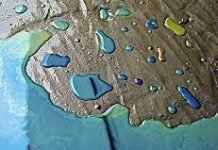 Dealing with a Diesel Spillage: Effective Measures for Containment and Cleanup Diesel Spillage