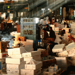 Twin Dollar: Your Ultimate Destination for Unique Finds and Meaningful Impact Twin Dollar