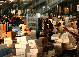 Twin Dollar: Your Ultimate Destination for Unique Finds and Meaningful Impact Twin Dollar