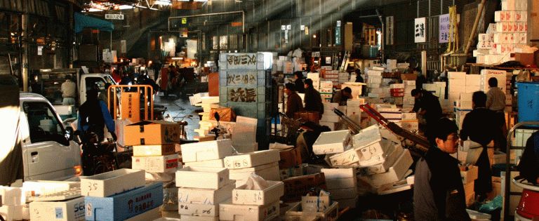 Twin Dollar: Your Ultimate Destination for Unique Finds and Meaningful Impact