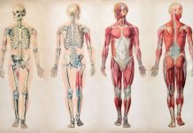 How to Select the Right Fitness Program for Spine Health Fitness Program