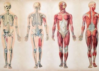 How to Select the Right Fitness Program for Spine Health Fitness Program