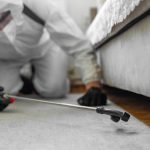Pest Control Services