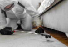 Top Reasons to Hire Professional Pest Control Services for Your Home Pest Control Services