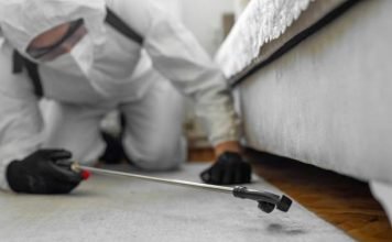Top Reasons to Hire Professional Pest Control Services for Your Home Pest Control Services