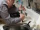 Smart Plumbing Systems in Commercial Buildings