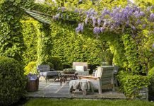 Creating Your Dream Garden: Home Improvement Ideas for Beautiful Outdoor Living Dream Garden