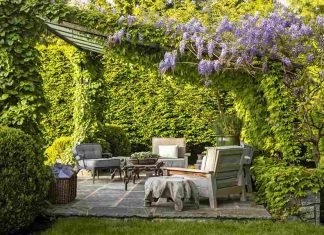 Creating Your Dream Garden: Home Improvement Ideas for Beautiful Outdoor Living Dream Garden