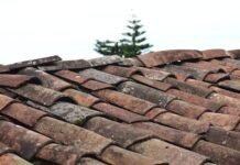Roof Restoration 101: Your Ultimate Guide to Revitalizing and Protecting Your Home’s Crown Roof Restoration
