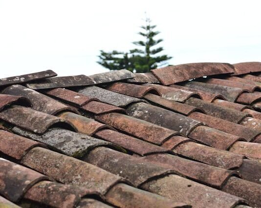 Roof Restoration 101: Your Ultimate Guide to Revitalizing and Protecting Your Home’s Crown Roof Restoration
