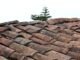 Roof Restoration 101: Your Ultimate Guide to Revitalizing and Protecting Your Home’s Crown Roof Restoration
