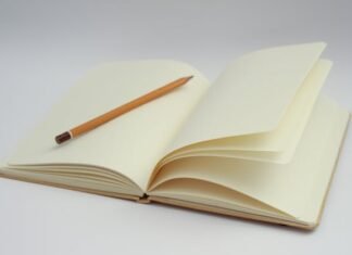 The best essay writing services for international students essay writing services