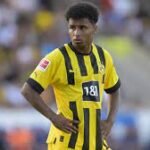 Karim Adeyemi Net Worth: Unveiling The Financial Success Of The Rising Football Star, Age, Height, Career, And Other Info Karim Adeyemi Net Worth