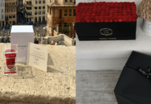 Ricordami vs. Venus Et Fleur: A Breakdown Of Popular Preserved Rose Brands Ricordami vs. Venus Et Fleur