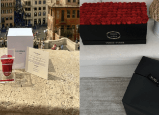 Ricordami vs. Venus Et Fleur: A Breakdown Of Popular Preserved Rose Brands Ricordami vs. Venus Et Fleur