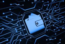 Unveiling the Secrets of Electronic Money Institutions