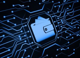 Unveiling the Secrets of Electronic Money Institutions