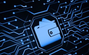 Unveiling the Secrets of Electronic Money Institutions