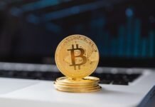 Redefining the Crypto Narrative: Bitcoin’s Integration with the Terra Network Bitcoin