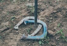 From Backyard BBQs To Camping Trips: Why A Horseshoe Game Set Is A Must-Have