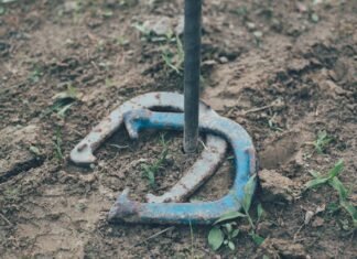 From Backyard BBQs To Camping Trips: Why A Horseshoe Game Set Is A Must-Have