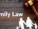 Understanding Family Law: Navigating Complexities and Ensuring Fair Outcomes Understanding Family Law: Navigating Complexities and Ensuring Fair Outcomes