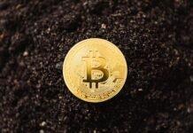 Dive into the World of Bitcoin: Essential Updates