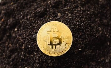 Dive into the World of Bitcoin: Essential Updates