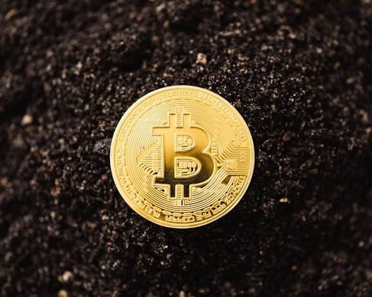 Dive into the World of Bitcoin: Essential Updates