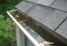 Essential Tips for Maintaining the Health of Your Home’s Gutters Gutters