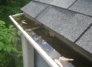 Essential Tips for Maintaining the Health of Your Home’s Gutters Gutters