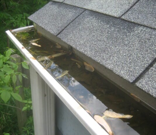 Essential Tips for Maintaining the Health of Your Home’s Gutters Gutters