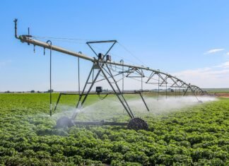 What’s Included in a Herbicide Kit? Herbicide Kit