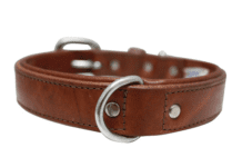 Tips for Securing Your Dog with the Right Leash Right Leash