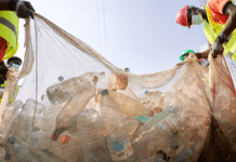 The Ultimate Guide to Planning Your Large-Scale Home Cleanout Home Cleanout