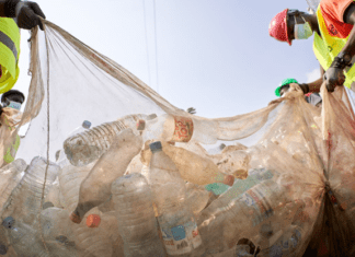 The Ultimate Guide to Planning Your Large-Scale Home Cleanout Home Cleanout