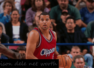 Bison Dele Net Worth: The Story of an NBA Star Turned Philosopher bison dele net worth