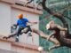 How to find better tree services provider tree services provider