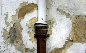 How Professional Gutter Cleaning Can Prevent Water Damage to Your Home Water Damage