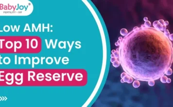 Low AMH: Top 10 Ways to Improve Egg Reserve Egg Reserve