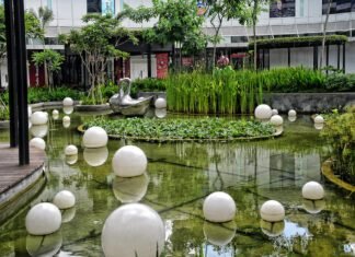 Suburban Oasis: Finding Peace, Space, and Community Suburban Oasis: