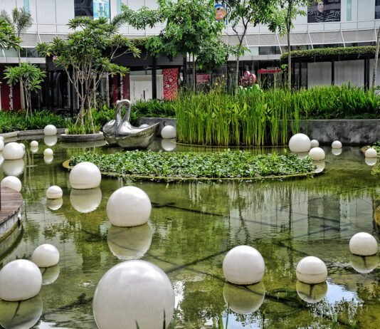 Suburban Oasis: Finding Peace, Space, and Community Suburban Oasis: