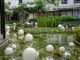 Suburban Oasis: Finding Peace, Space, and Community Suburban Oasis: