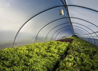 Embracing Sustainable Farming Practises for a Greener Future Sustainable Farming