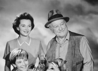 Who was Tommy Rettig Wife? A Detailed Guide About His Personal Life, Career, Lifestyle, Death And Other Info Tommy Rettig Wife